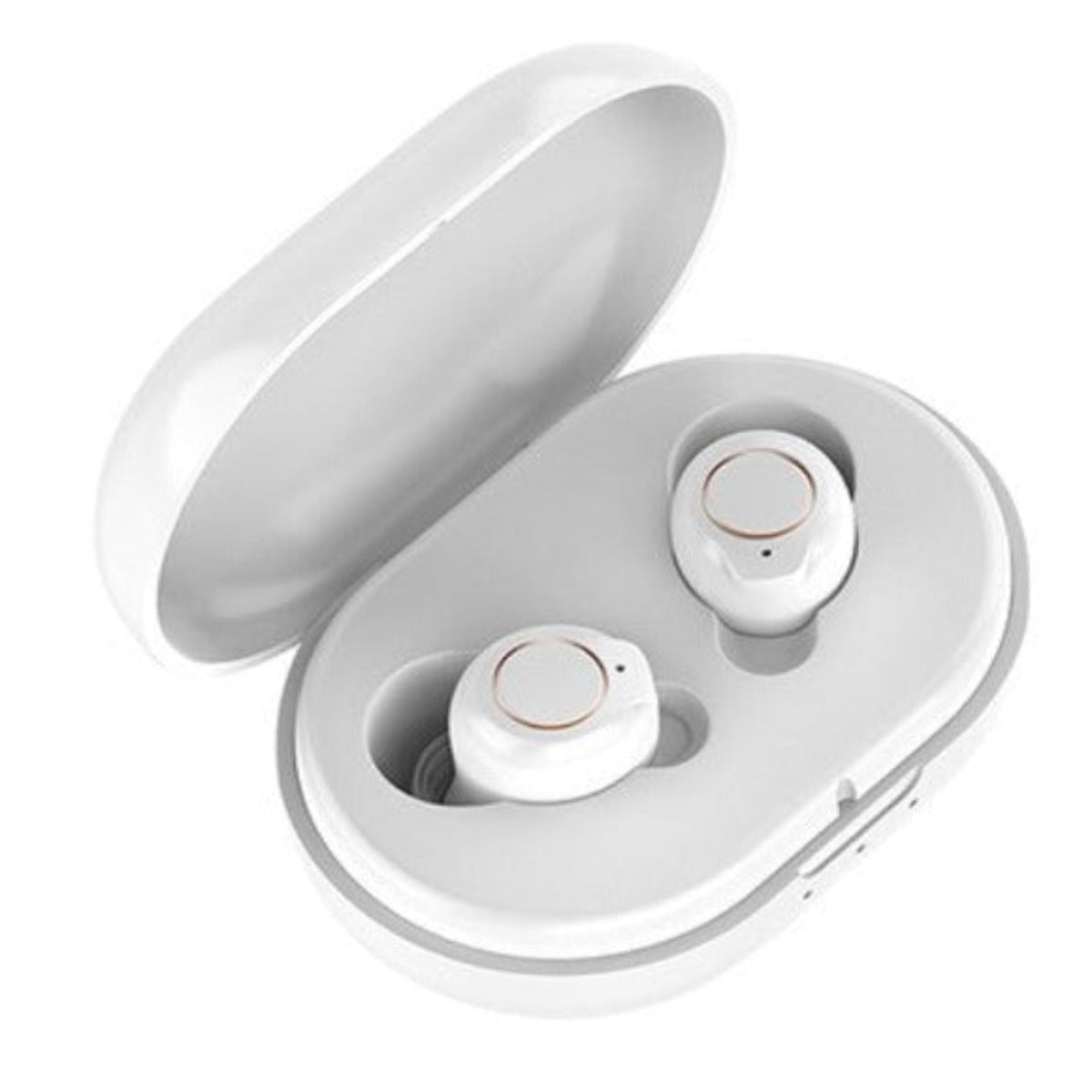 Invisible Hearing Aids CIC with intelli-charge case